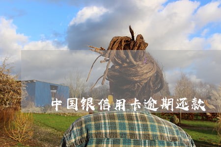 中国银信用卡逾期还款 中国银信用卡逾期还款