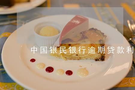 中国银民银行逾期贷款利率 中国银民银行逾期贷款利率