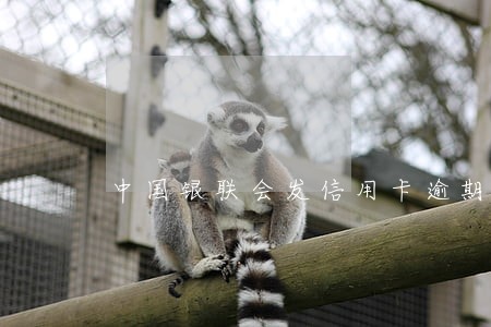 中国银联会发信用卡逾期通告 中国银联会发信用卡逾期通告