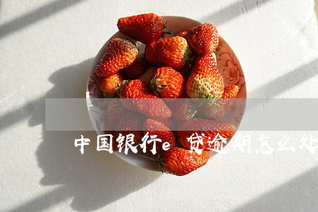 中国银行e贷逾期怎么处理 中国银行e贷逾期怎么处理