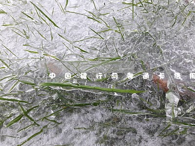中国银行与粤通卡信用卡逾期 中国银行与粤通卡信用卡逾期