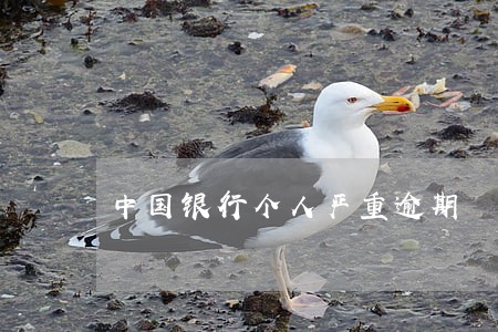 中国银行个人严重逾期