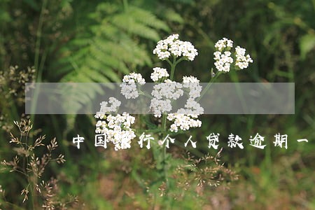 中国银行个人贷款逾期一天 中国银行个人贷款逾期一天