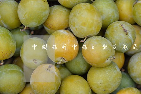 中国银行中银e贷逾期还款 中国银行中银e贷逾期还款