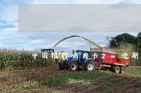 中国银行信用卡2w逾期三个月 中国银行信用卡2w逾期三个月