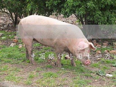 中国银行信用卡一万逾期 中国银行信用卡一万逾期