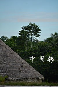 中国银行信用卡几天逾期