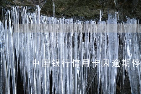中国银行信用卡因逾期停卡 中国银行信用卡因逾期停卡