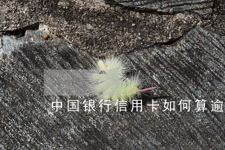 中国银行信用卡如何算逾期 中国银行信用卡如何算逾期