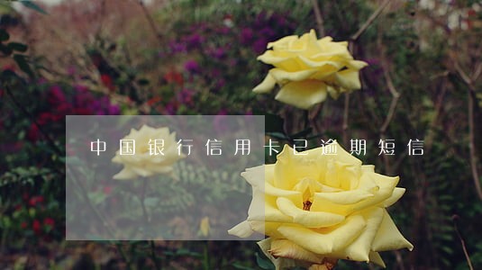中国银行信用卡已逾期短信 中国银行信用卡已逾期短信