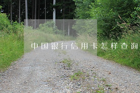 中国银行信用卡怎样查询逾期