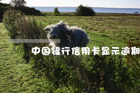 中国银行信用卡显示逾期一次 中国银行信用卡显示逾期一次