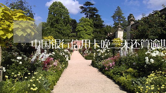 中国银行信用卡晚三天还算逾期吗