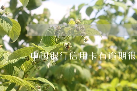 中国银行信用卡有逾期很久的没有