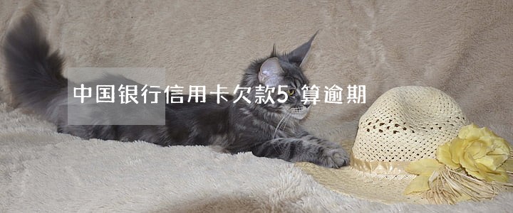 中国银行信用卡欠款5算逾期