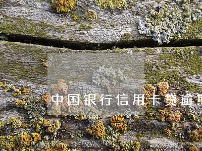 中国银行信用卡贷逾期一天 中国银行信用卡贷逾期一天