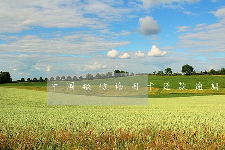 中国银行信用卡还款逾期5天