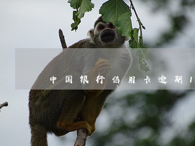 中国银行信用卡逾期15天 中国银行信用卡逾期15天