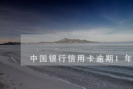 中国银行信用卡逾期1年了