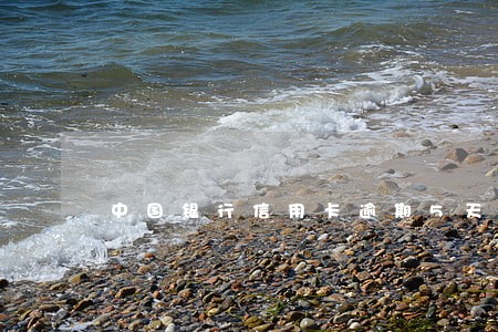 中国银行信用卡逾期5天 中国银行信用卡逾期5天