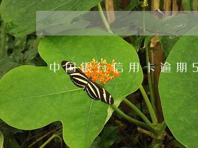 中国银行信用卡逾期5天怎么弥补 中国银行信用卡逾期5天怎么弥补