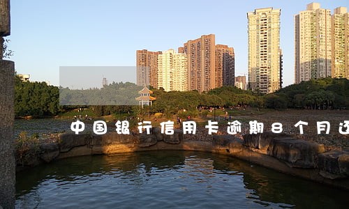 中国银行信用卡逾期8个月还清了 中国银行信用卡逾期8个月还清了