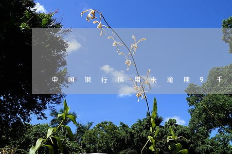 中国银行信用卡逾期9千 中国银行信用卡逾期9千