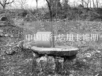 中国银行信用卡逾期一个星期 中国银行信用卡逾期一个星期