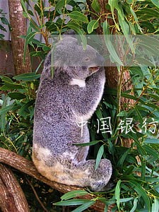 中国银行信用卡逾期一周有影响吗 中国银行信用卡逾期一周有影响吗