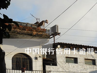 中国银行信用卡逾期一年未还款