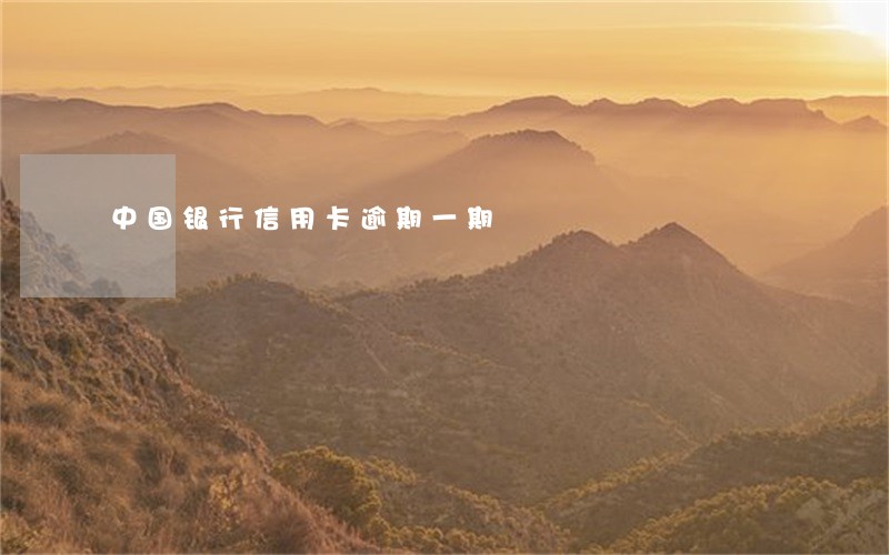 中国银行信用卡逾期一期