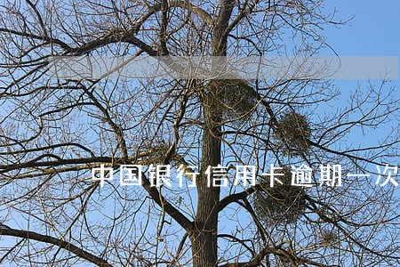 中国银行信用卡逾期一次影响 中国银行信用卡逾期一次影响