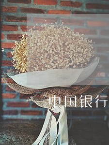 中国银行信用卡逾期三年还款 中国银行信用卡逾期三年还款