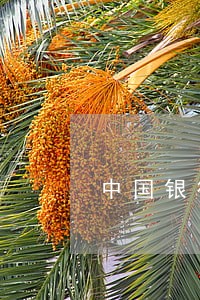 中国银行信用卡逾期三年还款多少
