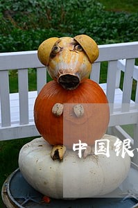 中国银行信用卡逾期不能办分期 中国银行信用卡逾期不能办分期