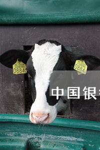 中国银行信用卡逾期两个星期 中国银行信用卡逾期两个星期