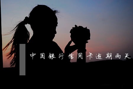 中国银行信用卡逾期两天后果 中国银行信用卡逾期两天后果