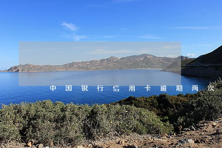 中国银行信用卡逾期两次了