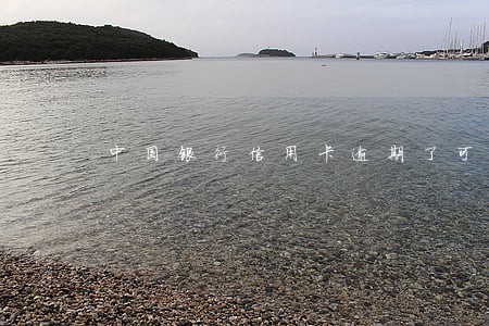 中国银行信用卡逾期了可以办理吗 中国银行信用卡逾期了可以办理吗