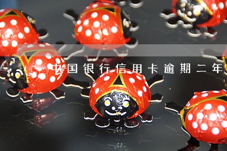 中国银行信用卡逾期二年 中国银行信用卡逾期二年