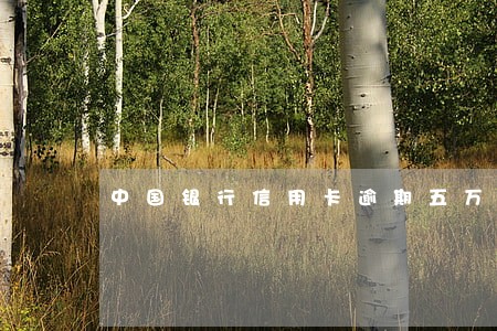 中国银行信用卡逾期五万以上 中国银行信用卡逾期五万以上