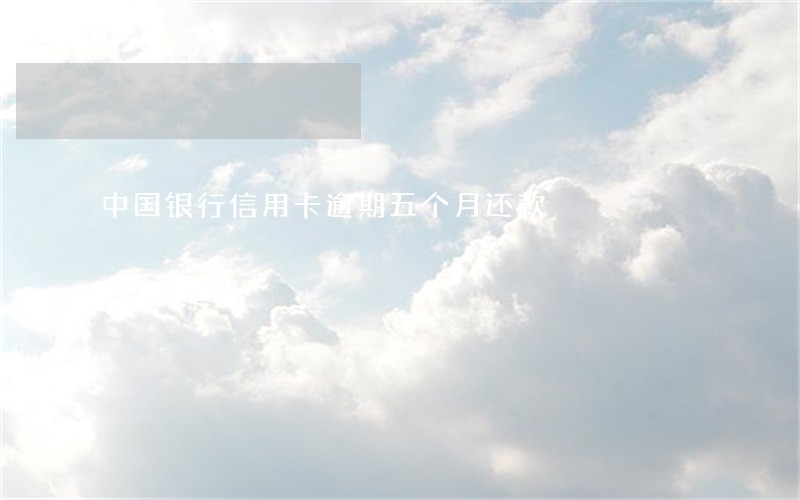 中国银行信用卡逾期五个月还款