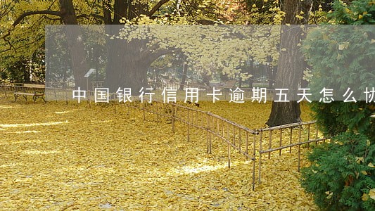 中国银行信用卡逾期五天怎么协商 中国银行信用卡逾期五天怎么协商