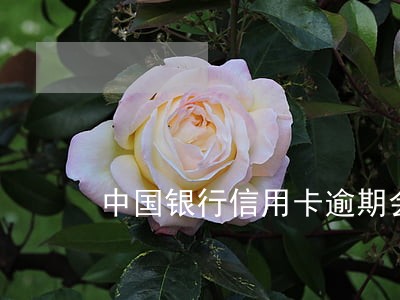 中国银行信用卡逾期会联系亲戚 中国银行信用卡逾期会联系亲戚