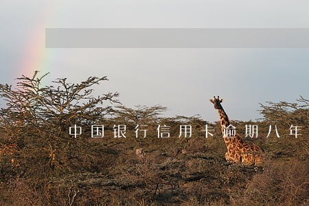 中国银行信用卡逾期八年