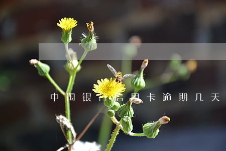 中国银行信用卡逾期几天上征信吗 中国银行信用卡逾期几天上征信吗