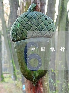 中国银行信用卡逾期分期减免 中国银行信用卡逾期分期减免