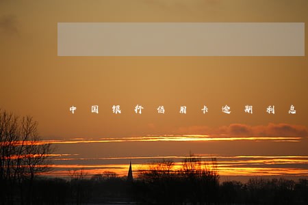 中国银行信用卡逾期利息违约金 中国银行信用卡逾期利息违约金