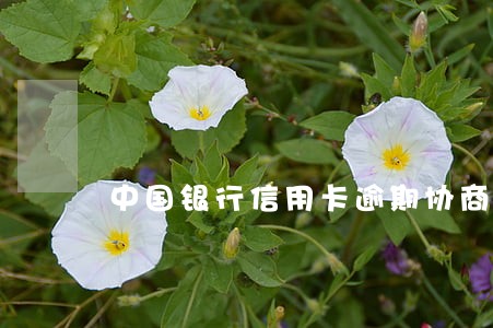 中国银行信用卡逾期协商分期 中国银行信用卡逾期协商分期