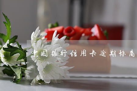 中国银行信用卡逾期协商还款电话